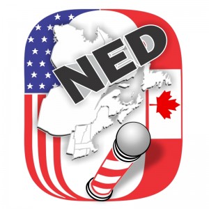 logo_NED